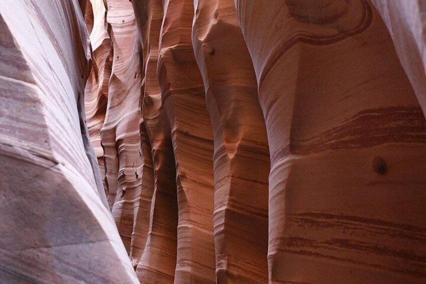 Zebra Slot Canyon Hiking Tour in Escalante 3