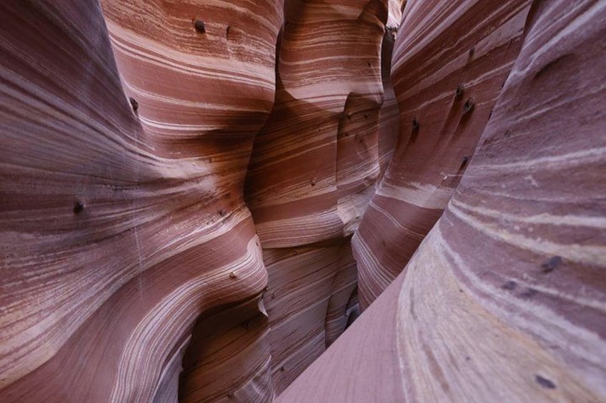 A close-up of a canyon with striated rock formations. 1