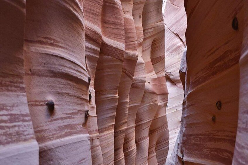 Zebra Slot Canyon Hiking Tour in Escalante 3