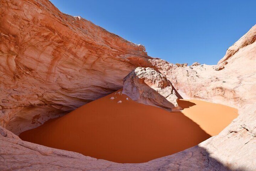 4 Hours Cosmic Ashtray Experience in Escalante