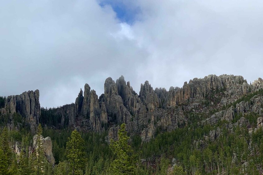 Picture 11 for Activity From Rapid City: Custer State Park Private Safari and Hiking 3