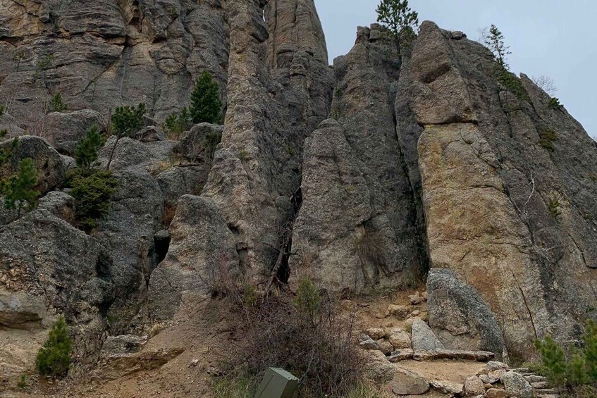Picture 6 for Activity From Rapid City: Custer State Park Private Safari and Hiking 5