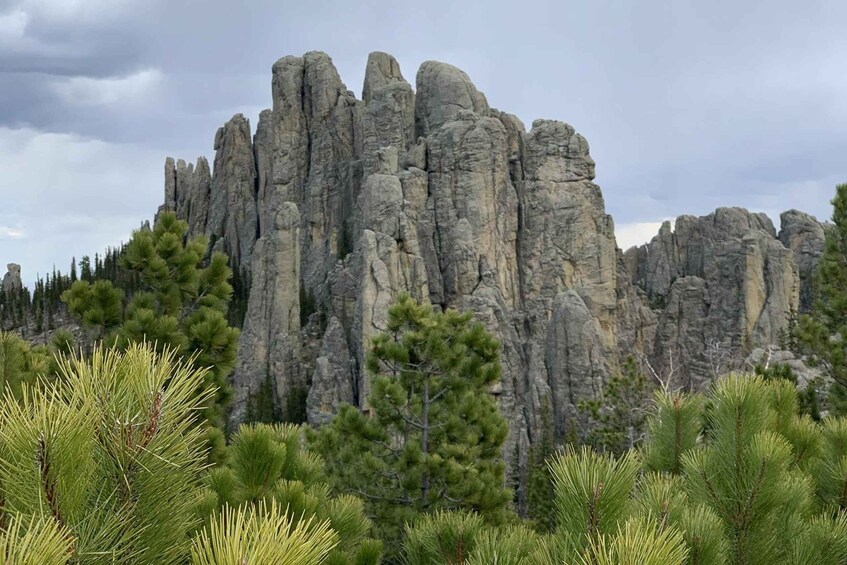 Picture 9 for Activity From Rapid City: Custer State Park Private Safari and Hiking 4