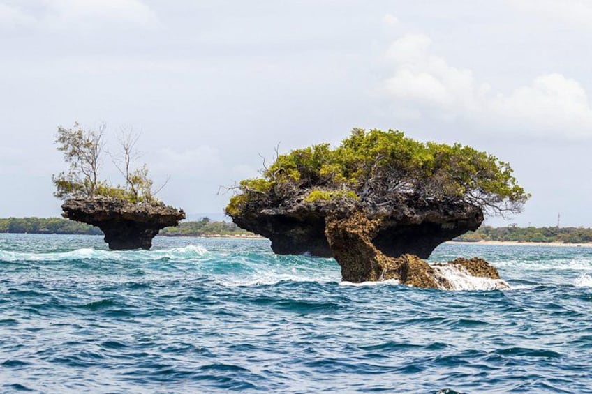 Two rock formations in the ocean with vegetation on top. 1