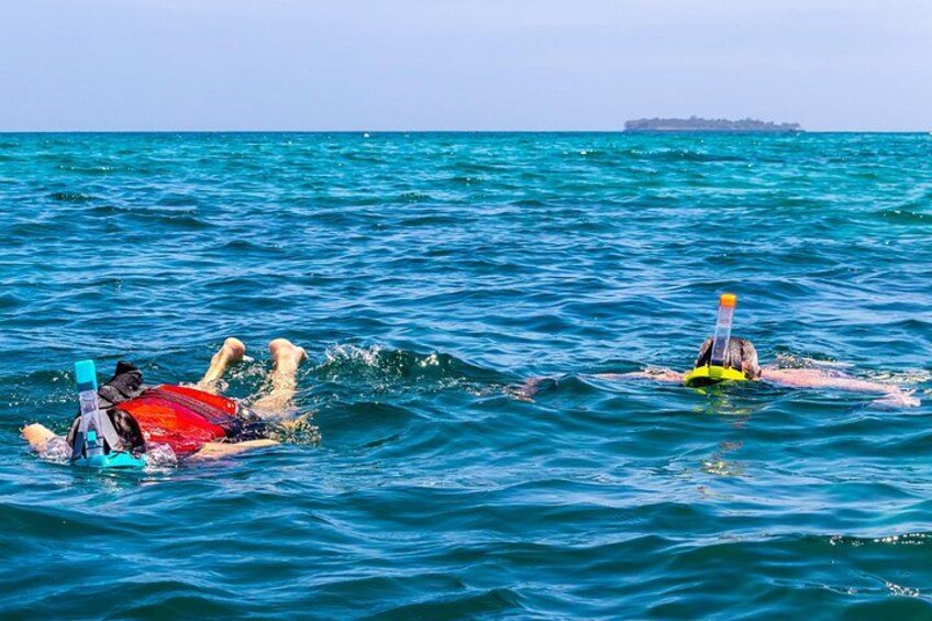 Dolphin Watch and Snorkeling at Kisite Marine Park Wasini Island 4