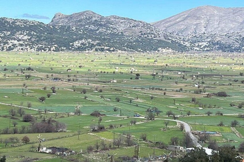 Crete in a Day: Knossos, Soap Workshops, Olive Oil & Wine Tasting 3