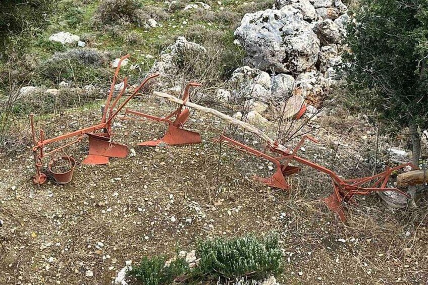 Crete in a Day: Knossos, Soap Workshops, Olive Oil & Wine Tasting 2