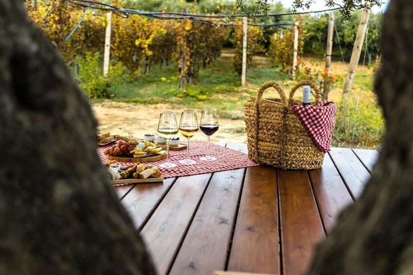 Et picnicbord med mad, vinglas og en kurv i en vingård. 2