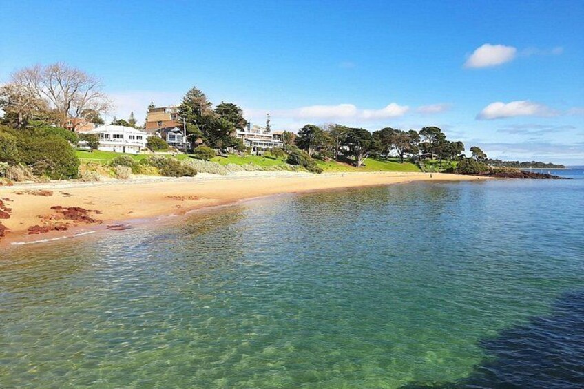 A clear beach with houses in the background. 3