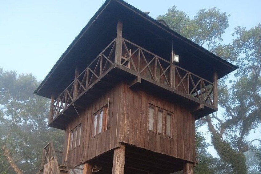 A wooden tower with a balcony, surrounded by trees. 2