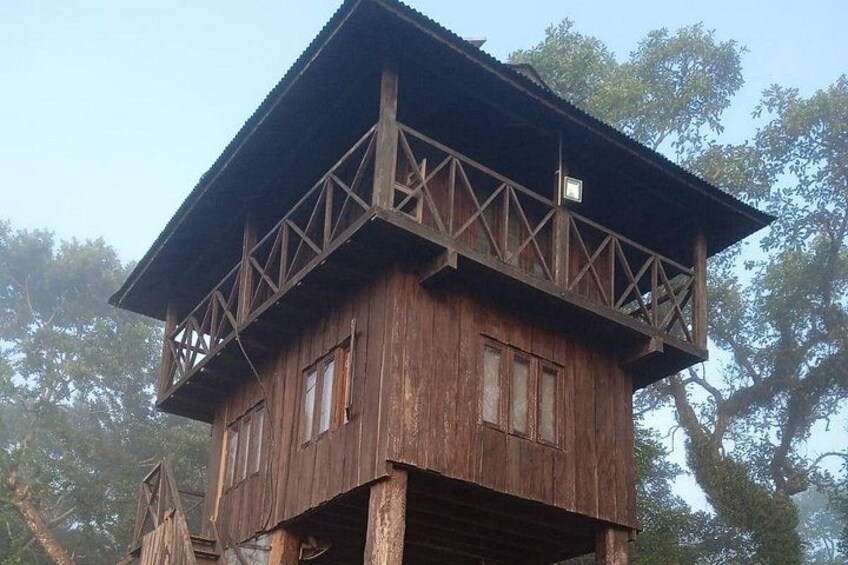 3 Nights 4 Days Chitwan National Park with Tower Night Stay 3