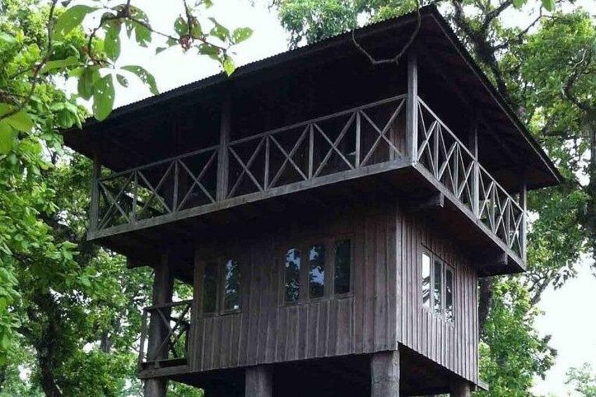3 Nights 4 Days Chitwan National Park with Tower Night Stay 2