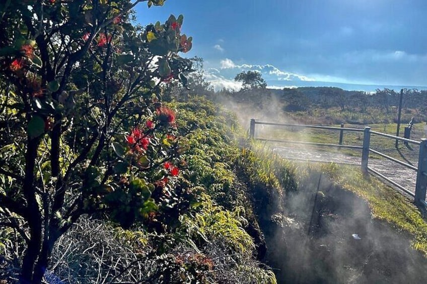 Volcanoes National Park Steam Vents 2