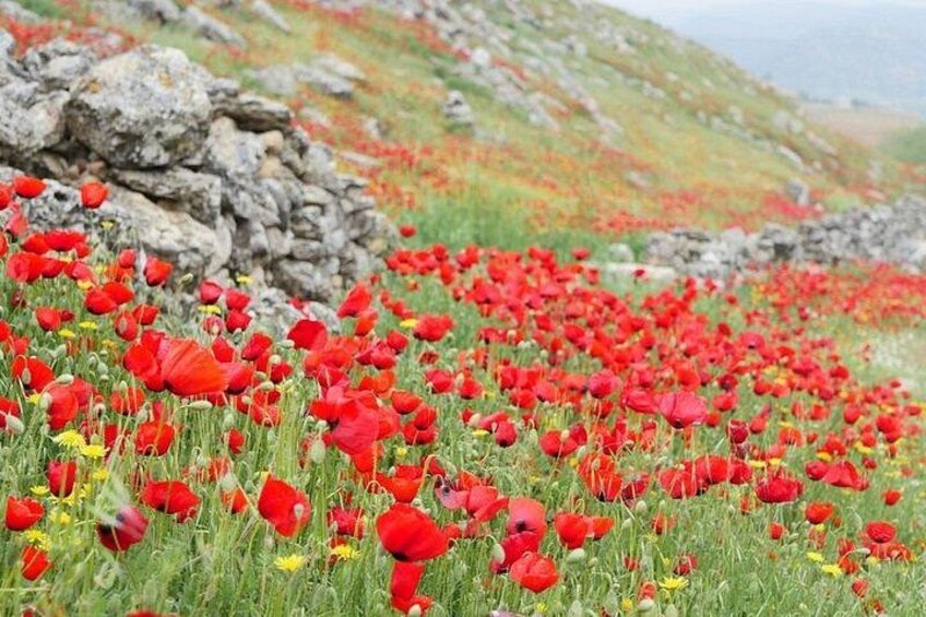 Full-Day Guided Tour in Pamukkale and Salda Lake 2