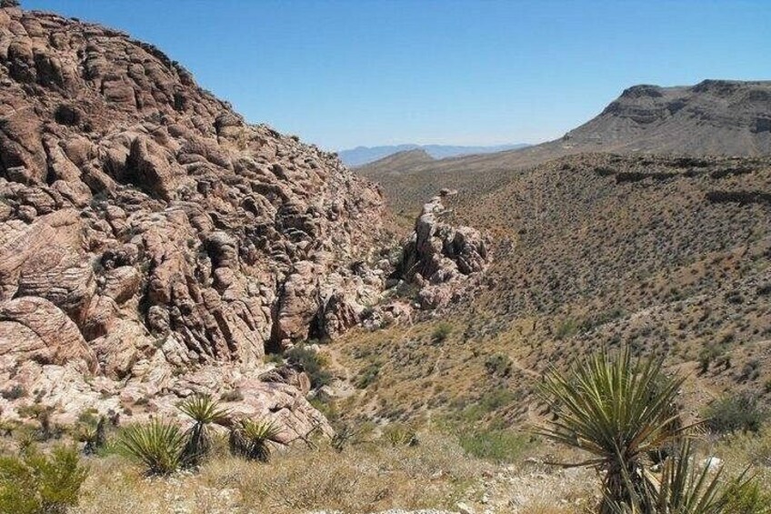 A rocky desert landscape with sparse vegetation. 1