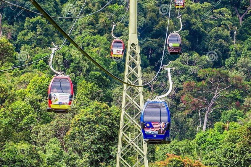 Eine Seilbahn mit mehreren Gondeln, die zwischen hohen Türmen in einem dichten Grünwald schwebt. 1