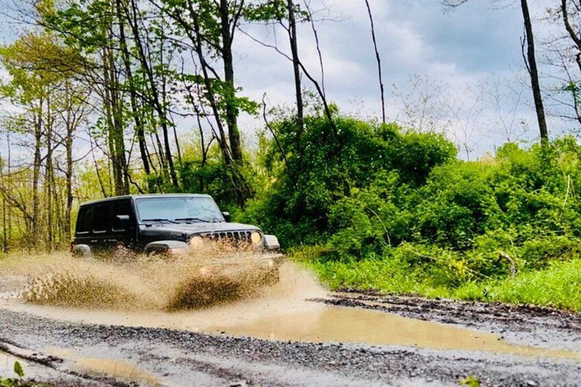 New River Gorge Jeep Tour (Half Day) 1