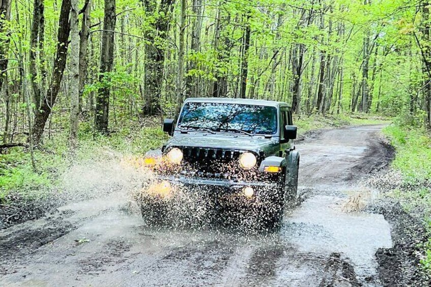 New River Gorge Jeep Tour (Half Day) 4