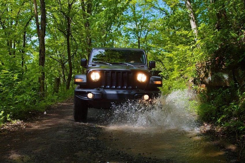 New River Gorge Jeep Tour (Half Day) 5