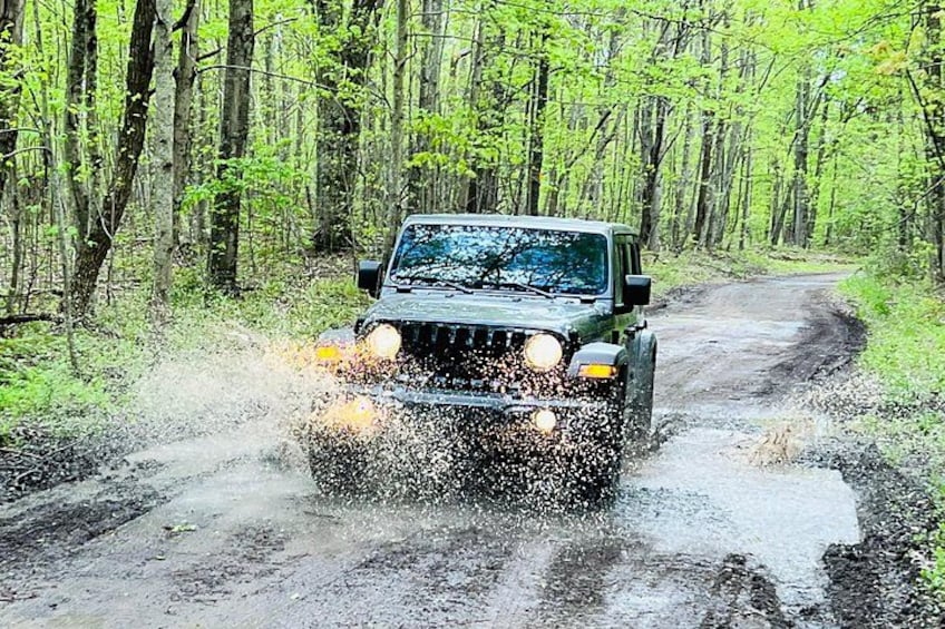 New River Gorge Jeep Tour (Half Day) 4