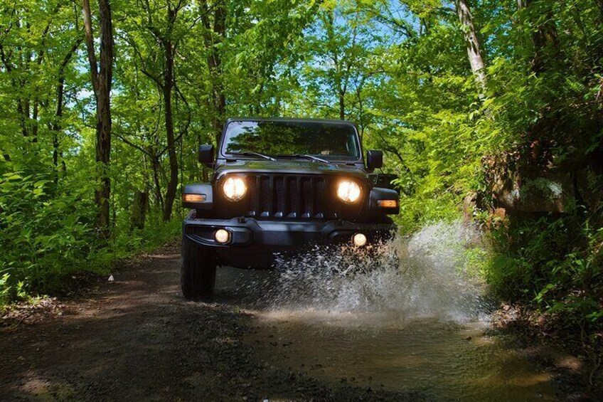 New River Gorge Jeep Tour (Half Day) 5