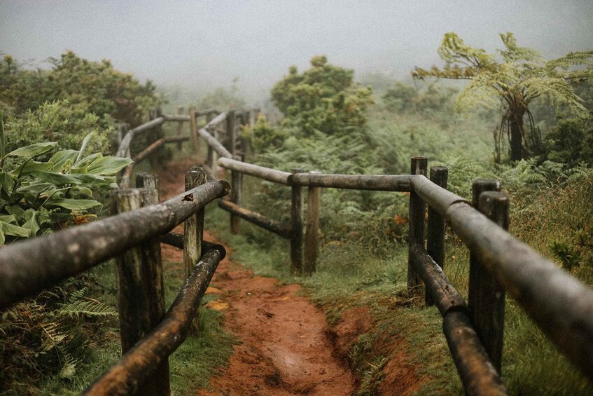 A wooden pathway leading through a forested area with a dirt trail. 5