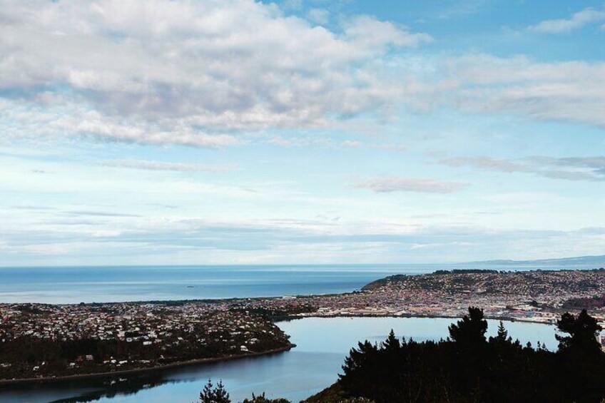 Signal Hill Lookout