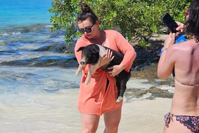 Eine Person hält einen Hund an einem Strand mit klarem Wasser und grüner Landschaft im Hintergrund. 2