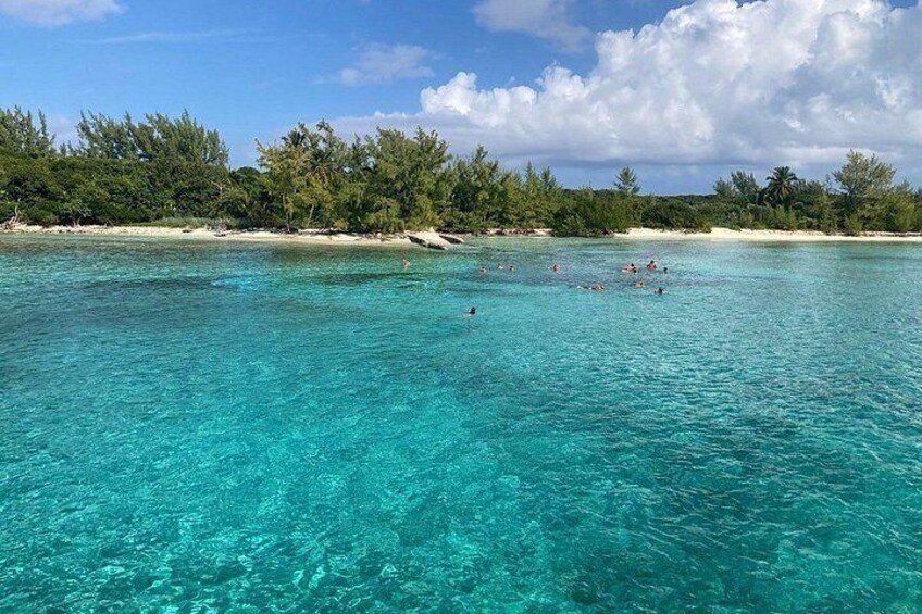 A turquoise sea with people swimming, a sandy beach, and a line of trees. 5