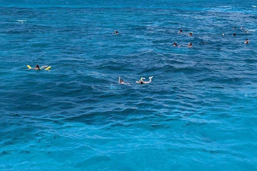 Un grupo de personas nadando y haciendo kayak en un océano azul. 2