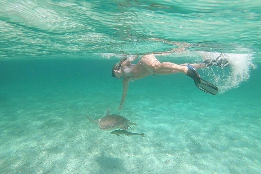 Eine Person schnorchelt unter Wasser mit einer Schildkröte. 3