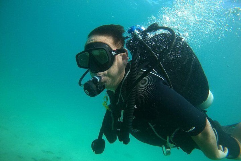 Night Diving in Fujairah 2