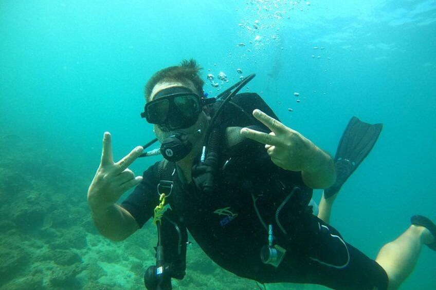 Night Diving in Fujairah 2