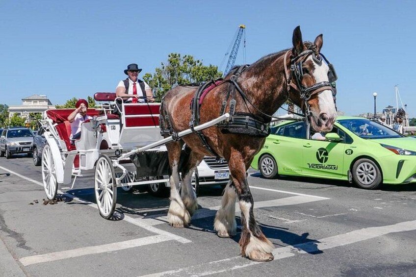 Eine Kutsche mit Kutscher und Passagieren, ein grünes Auto und ein Baukran im Hintergrund. 4