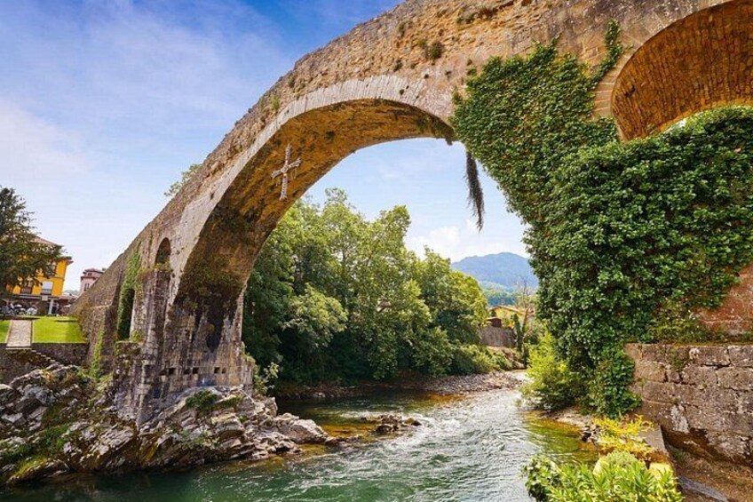 Full-Day Nature Private Tour: Picos de Europa National Park 1