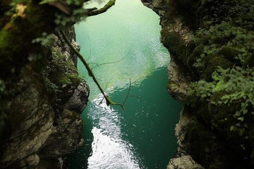 A narrow water passage between rocky cliffs with a branch hanging over the water. 4
