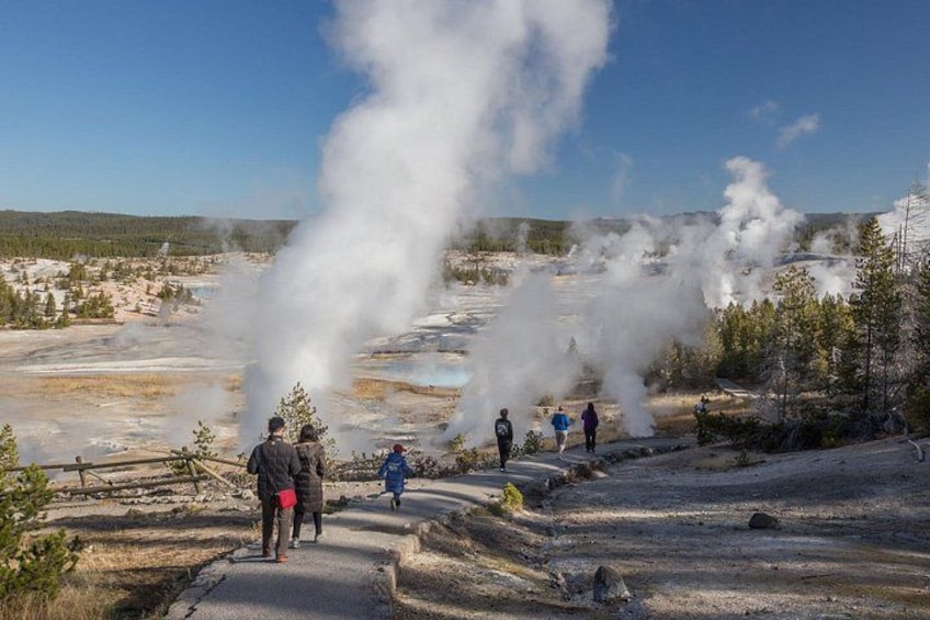 Norris Geyser Basin is the oldest, hottest, most acidic, and most dynamic of Yellowstone’s
Geyser Basins. It's also home to the largest geyser in the world, Steamboat Geyser. 1