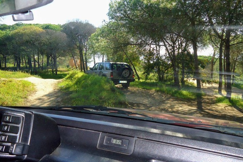 Private Algarve Tour with Typical Lunch, pax min. 2. 1