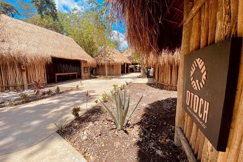 Authentic Cozumel Island Tour - Best Sights & Mayan Experience 2