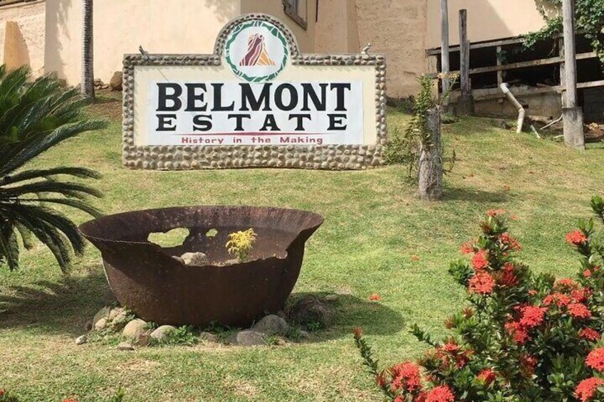 Full-Day Tour: Belmont Estate, Rum Distillery, Grand Etang