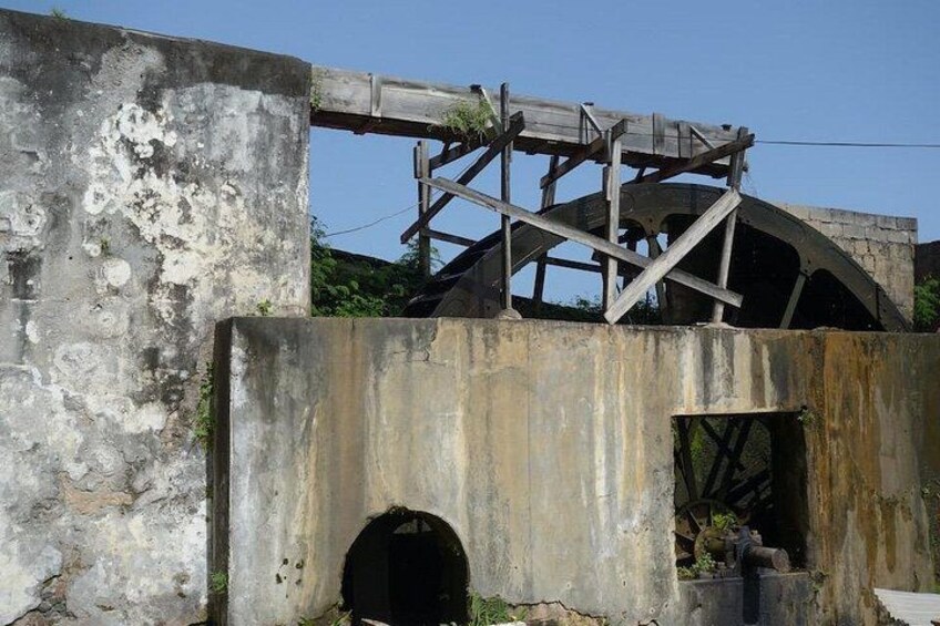 Full-Day Tour: Belmont Estate, Rum Distillery, Grand Etang 2