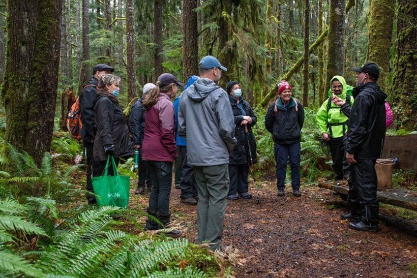 A group of people in a forested area with a dirt path, surrounded by trees and ferns. 4