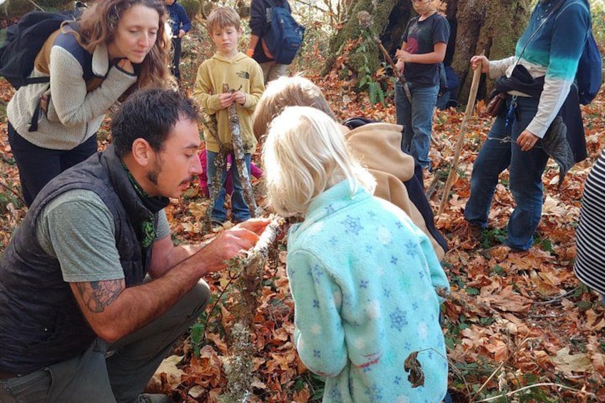 A group of people in a forested area with fallen leaves on the ground. 4