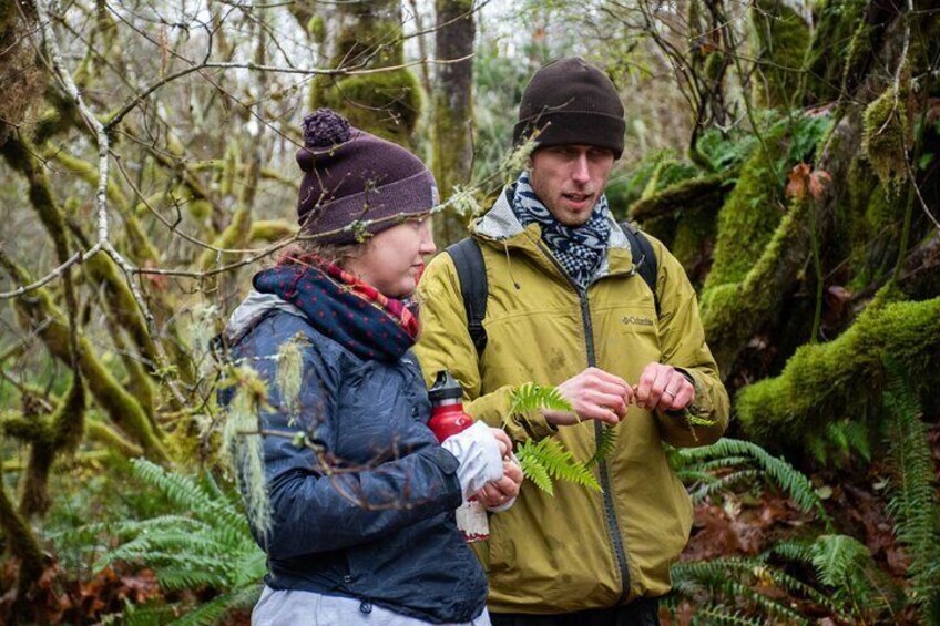 Two people in a forested area, one holding a plant. 4