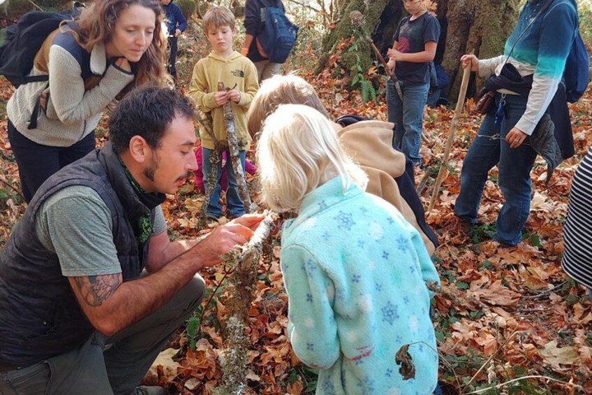 A group of people in a forested area, some wearing backpacks, engaging in outdoor activities. 3