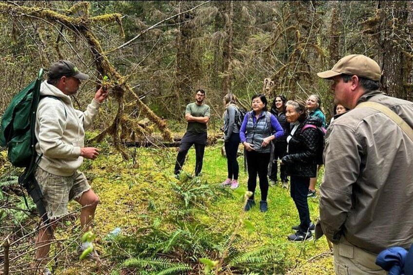 A group of people in a forested area, some with backpacks, standing and observing the surroundings. 1