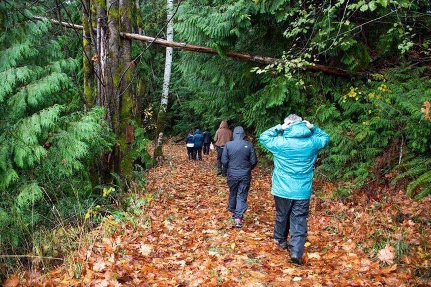 A group of people hiking on a leaf-covered forest trail. 3