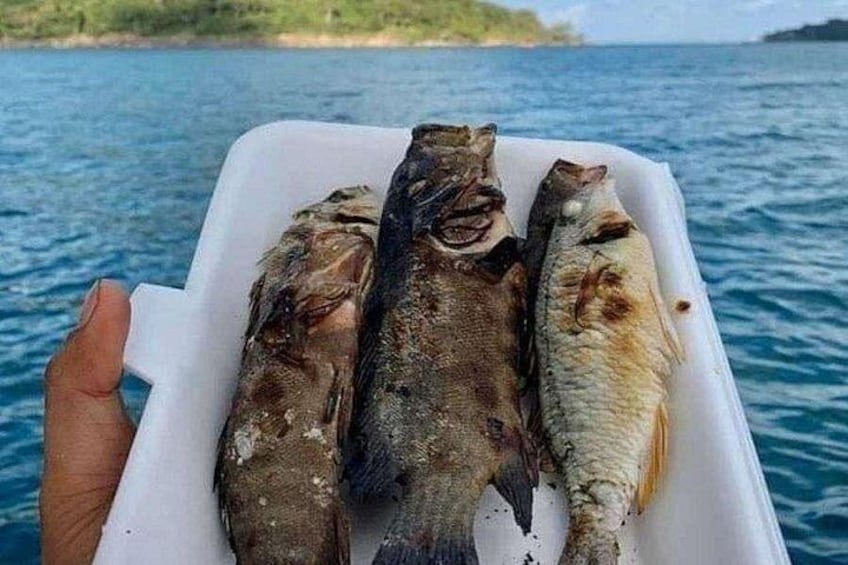 Koh Rong Fishing & Snorkeling tour (Private) 5
