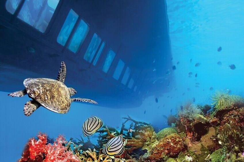 A sea turtle swimming near a coral reef with a shipwreck in the background. 2