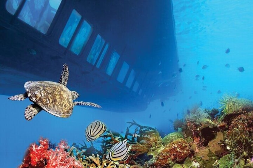 Hurghada Semi-Submarine Explorer 2